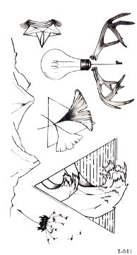 Abstract - Boston Temporary Tattoos