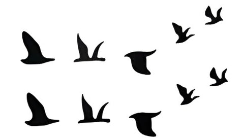 Fly Away - Boston Temporary Tattoos