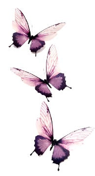 Blue Butterfly - Boston Temporary Tattoos