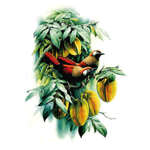 Red Snow - Boston Temporary Tattoos