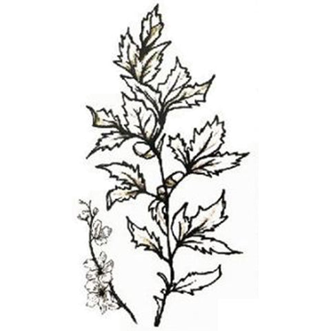 Flower Plant - Boston Temporary Tattoos